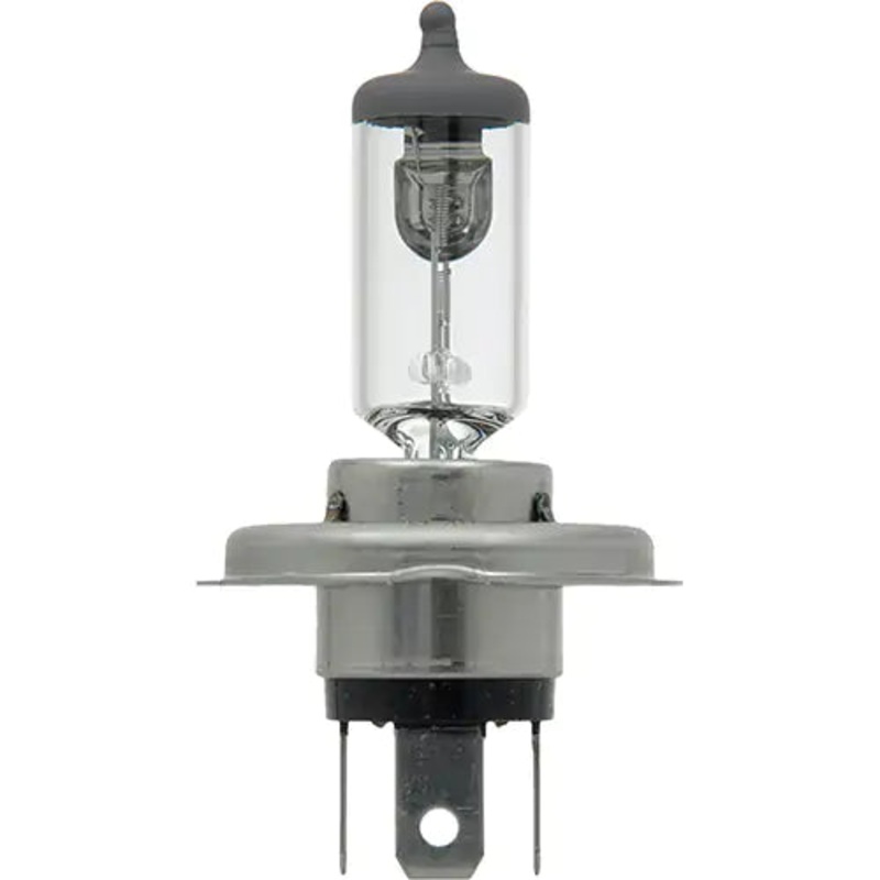 6419 Basic Automotive Bulb - 31423