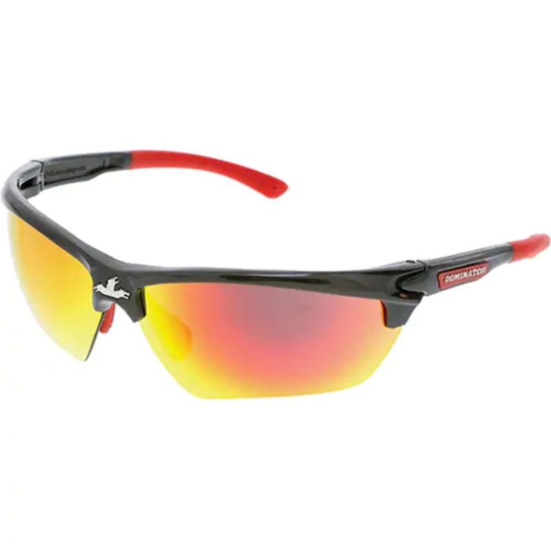 Dominator DM3 Series Safety Glasses - DM131RDC